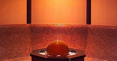 Wellness